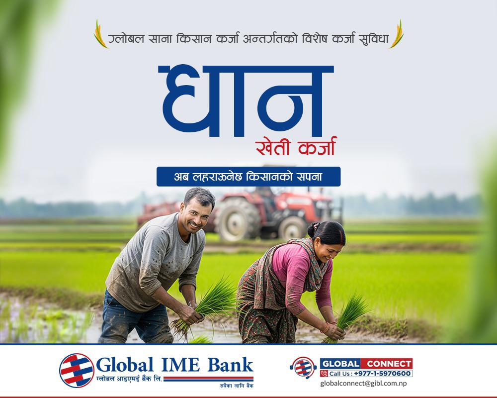 ग्लोबल आइएमई बैंकद्वारा ‘धान खेती कर्जा’ सार्वजनिक, राष्ट्रिय धान दिवसमा रोपाई कार्यक्रम सम्पन्न