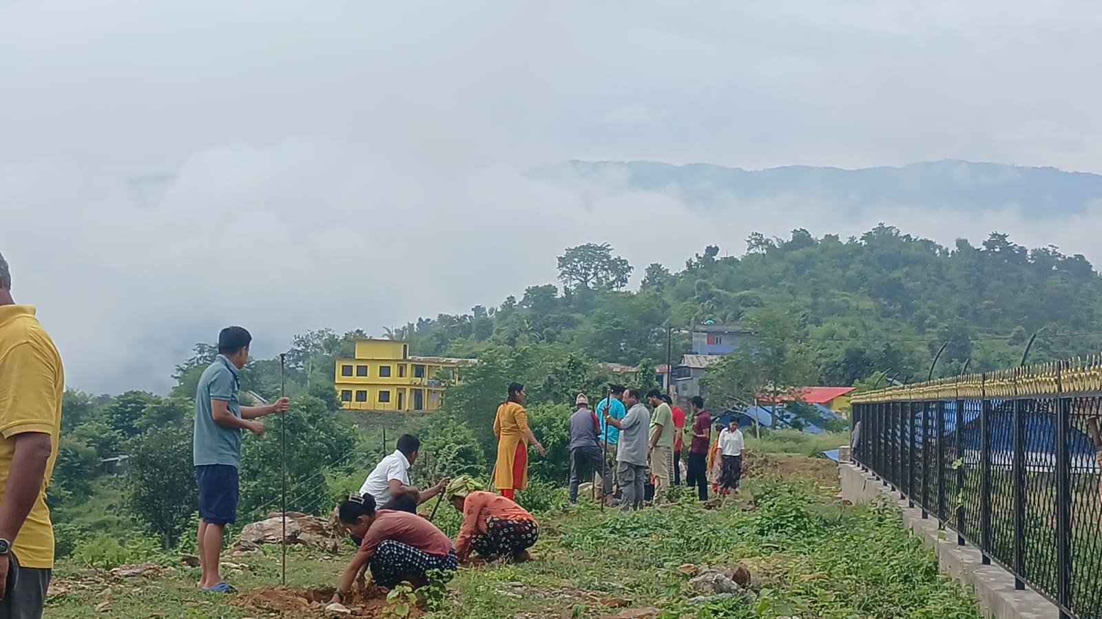 अरुण गाउँपालिका–७ सिक्रेटारमा वृक्षारोपण कार्यक्रम सम्पन्न